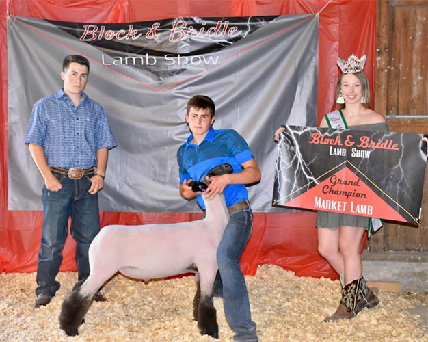 grandblockbridle Hild Bros. Winners