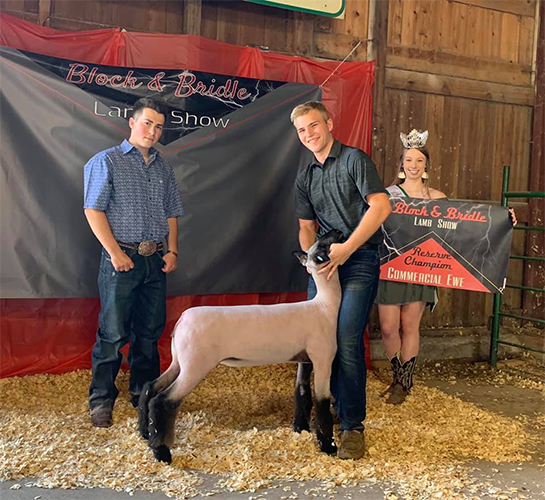 rescomblockbridle Hild Bros. Winners