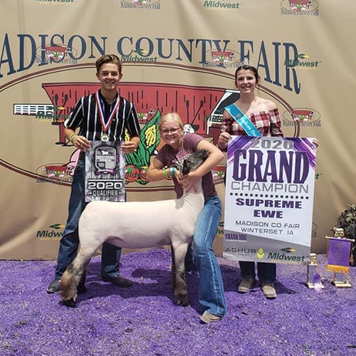 Grand-Comm-Madison-County Hild Winners