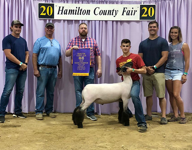 Grand-Mkt-Hamilton-County Hild Winners