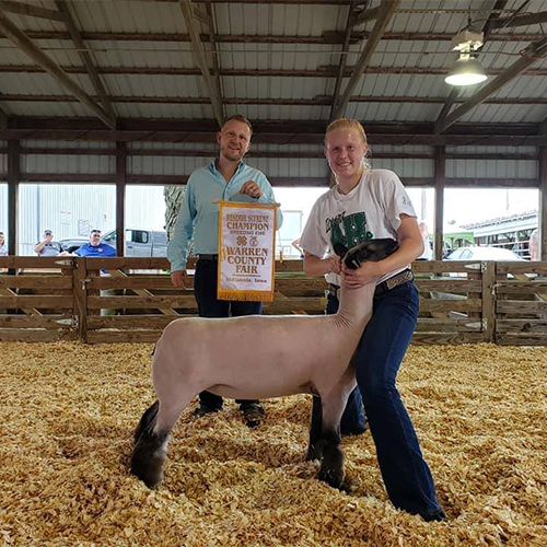 Res-Ewe-Warren-Co Hild Winners