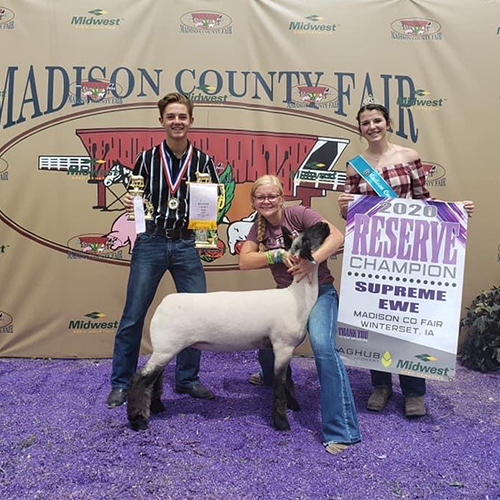Res-Grand-Comm-Madison-County Hild Winners