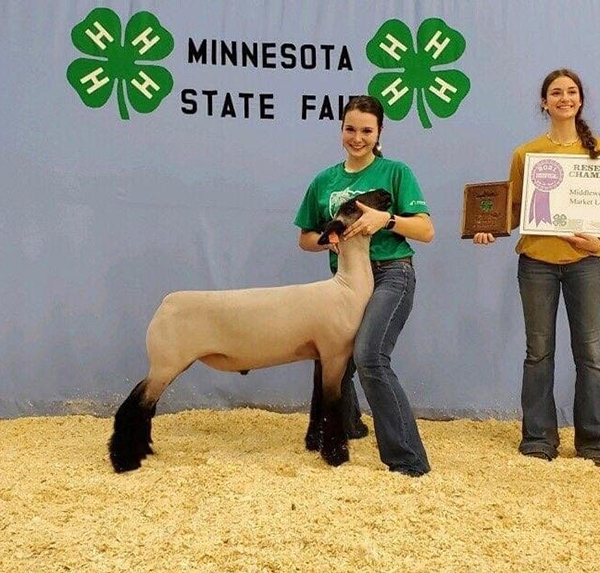 Hild Winners Hild Winners