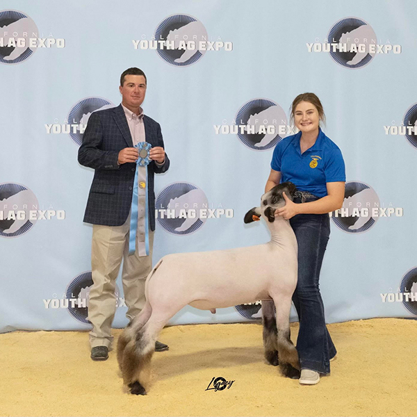 Hild Winners Hild Winners