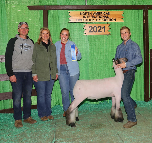 Hild Winners Hild Winners