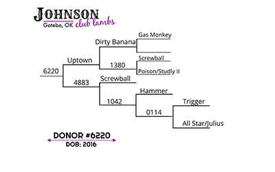 6220 Johnson