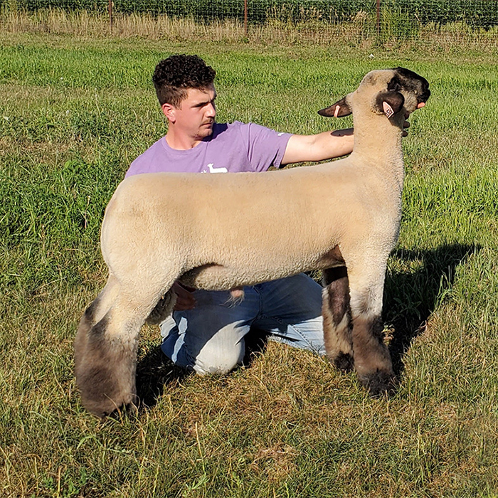 Break The Internet