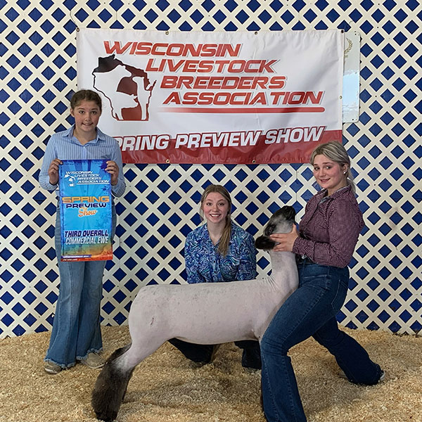 3rd Overall Commercial Ewe WI Spring Preview