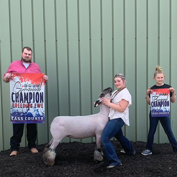 Grand Ewe Cass County Jackpot Grand Ewe Cass County Jackpot