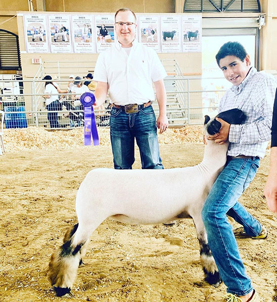 Champion Commercial Ewe San Diego County Fair