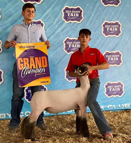 Grand Champion Market Lamb City of Champions