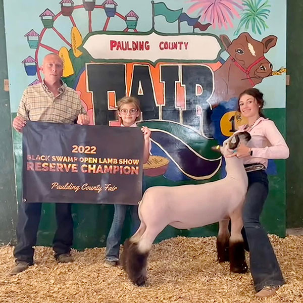 Reserve Champion Market Lamb Paulding County