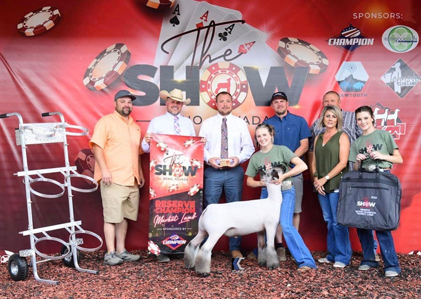 Reserve Grand Champion Market Lamb The Show - Reno Reserve Grand Champion Market Lamb The Show - Reno