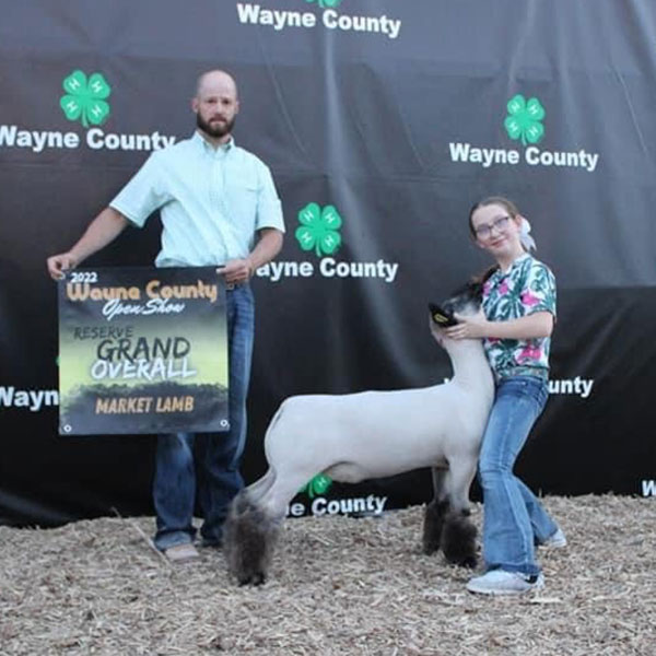 Reserve Grand Market Lamb Wayne County