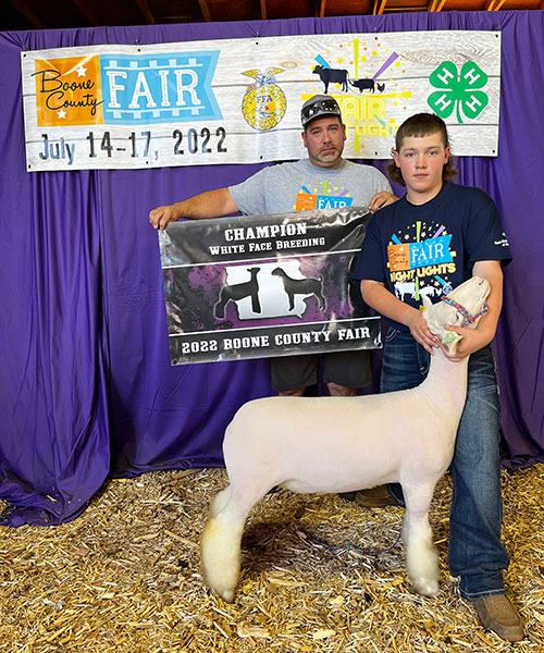 Champion White Face Ewe  Boone County