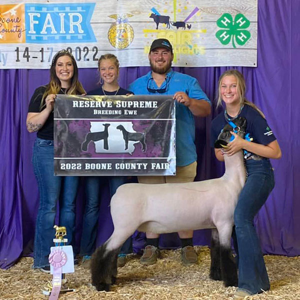 Reserve Supreme Ewe Boone County (IA) Reserve Supreme Ewe Boone County (IA)