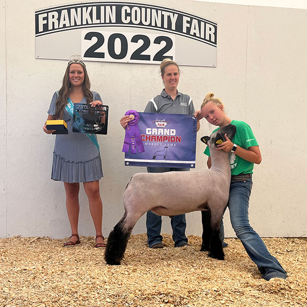 Grand Market Lamb Franklin County Fair