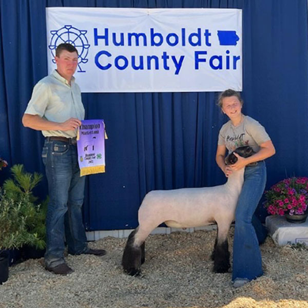 Grand Market Lamb Humboldt County Fair