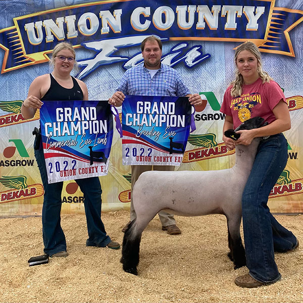 Grand Breeding Ewe Union County Fair