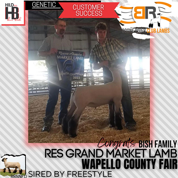 Reserve Market Lamb Wapello County Fair Reserve Market Lamb Wapello County Fair