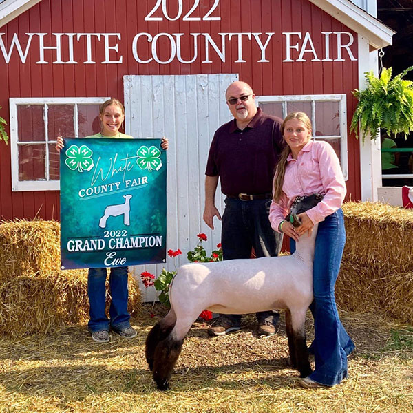 Grand Breeding Ewe White County Fair