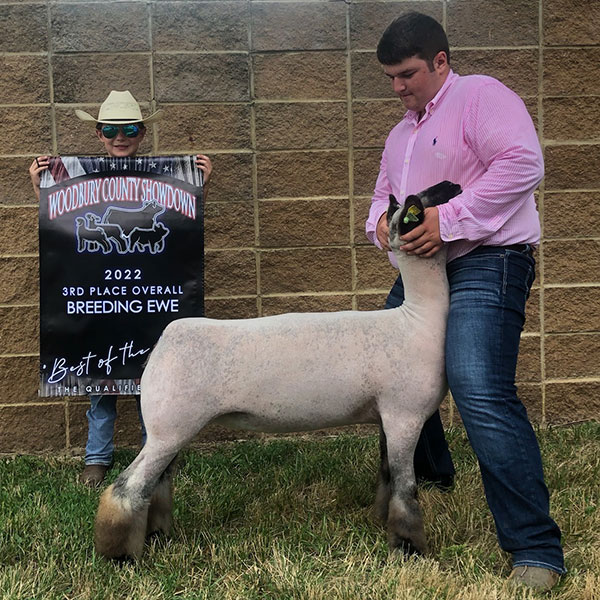 3rd Overall Commercial Ewe  Woodbury County Qualifier
