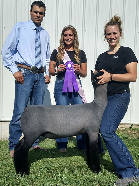 Grand Overall, 3rd Overall Wyoming Open Show