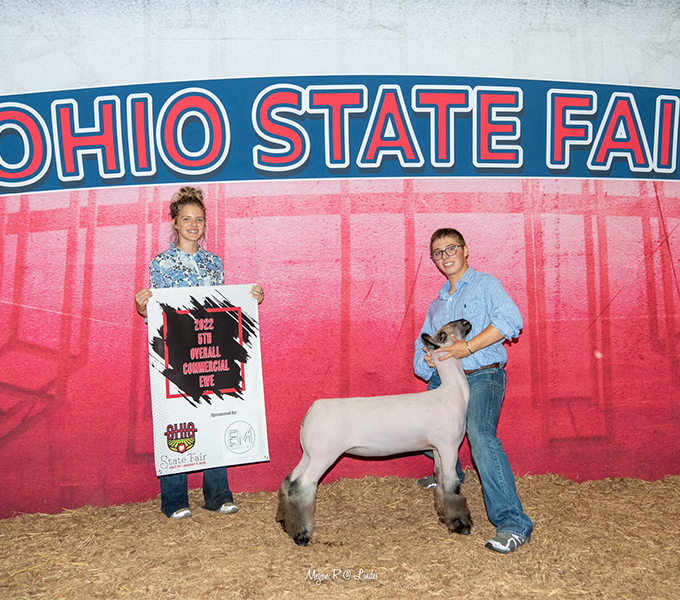 5th Overall Commercial Ewe Ohio State Fair