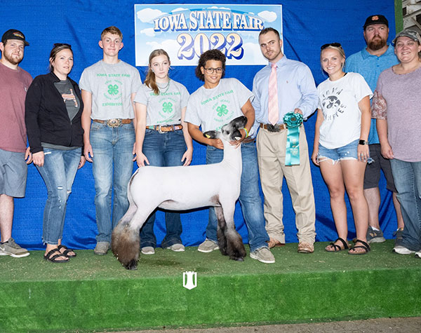 4th Overall Commercial Ewe Iowa State Fair 4th Overall Commercial Ewe Iowa State Fair