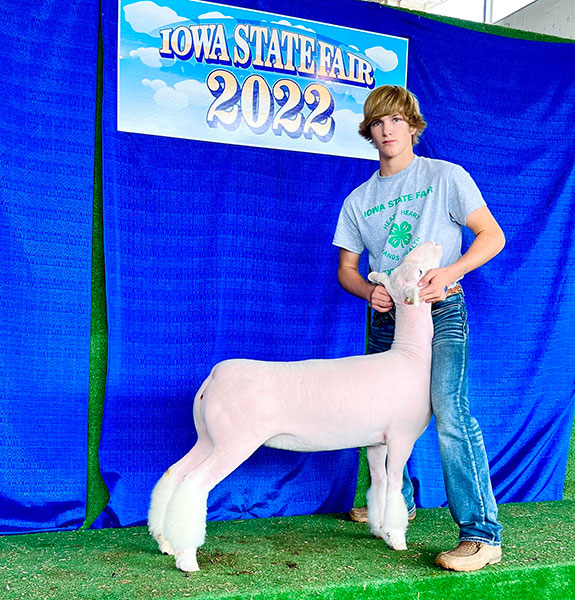 Champion Whiteface Ewe Iowa State Fair