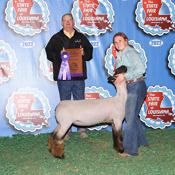 Grand Champion Commercial Ewe Louisiana State Fair Grand Champion Commercial Ewe Louisiana State Fair