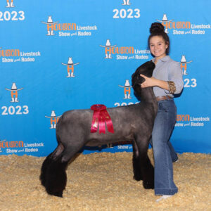 2nd in Class Houston Stock Show