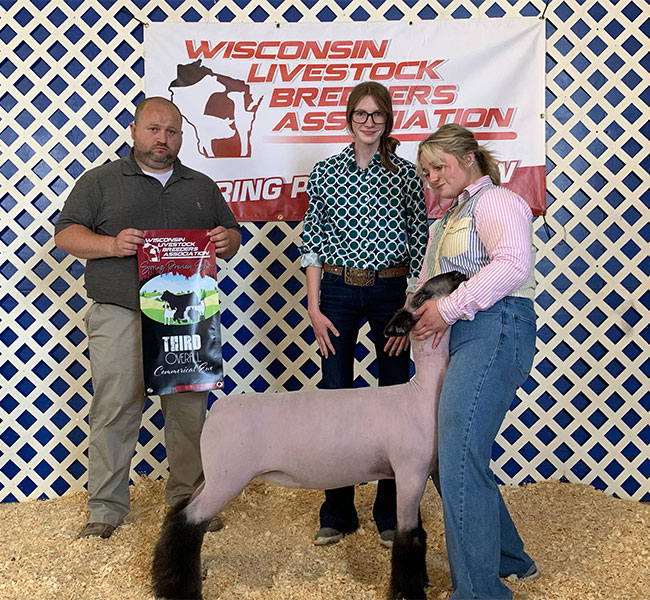 3rd Overall Commercial Ewe<br />
WLBA Spring Preview 