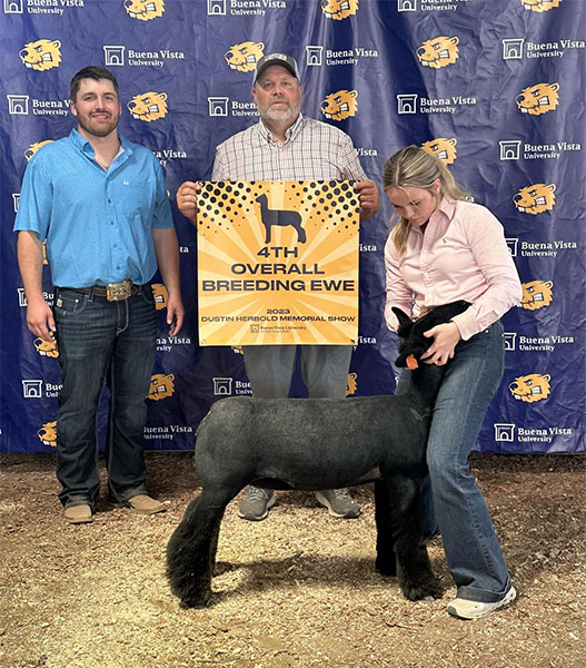 4th Overall Breeding Ewe<br />
Dustin Herbold Memorial Show