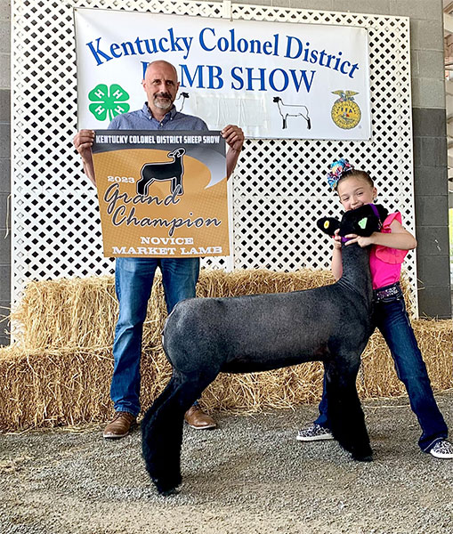 Champion Novice Market Lamb 2023 Kentucky Colonel District Lamb Show 