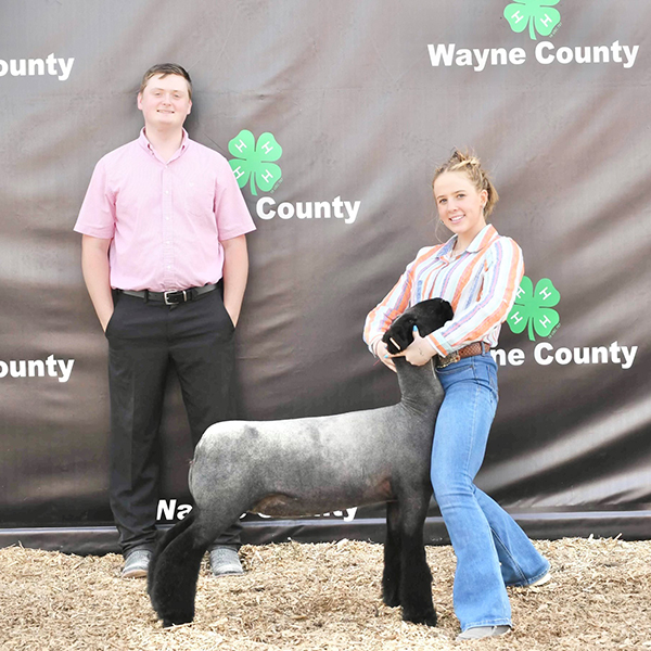 Reserve Natural Ewe</p>
<p>Wayne County Jackpot