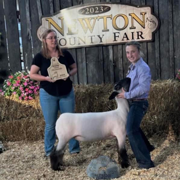 Supreme Champion Ewe<br />
Newton County Fair
