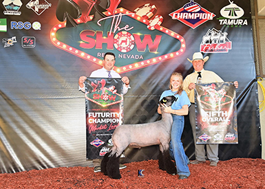 5th Overall Market Lamb Champion Natural 2023 The Show-Reno
