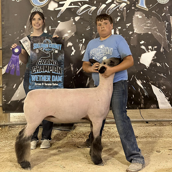 Grand Champion Ewe<br />
2023 Sullivan County