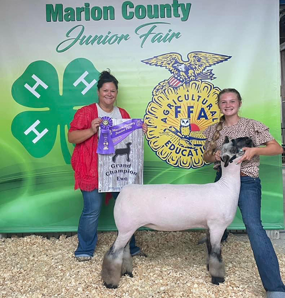 Champion Ewe<br />
Marion County