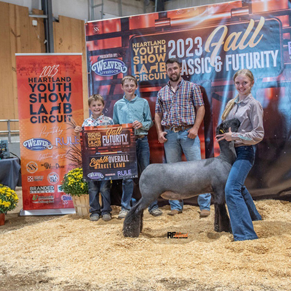 8th Overall Market Lamb, 2023 HYSLC