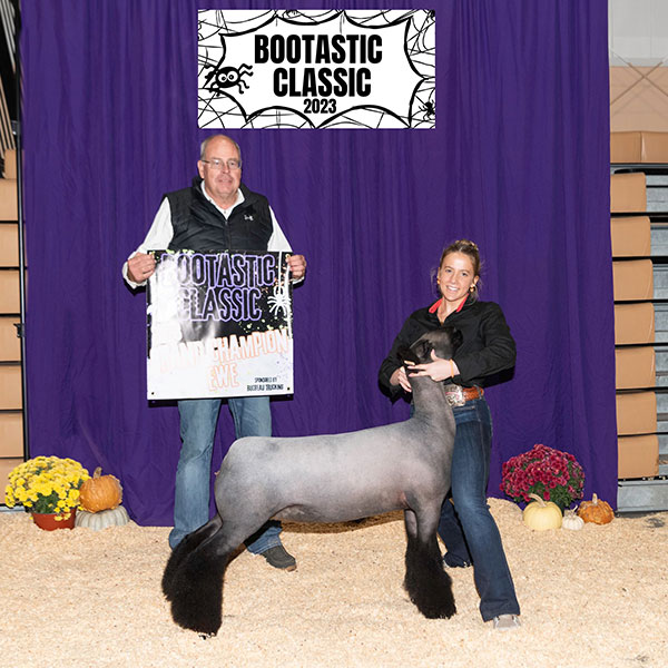 Grand Commercial Ewe<br />
Bootastic Classic, IN
