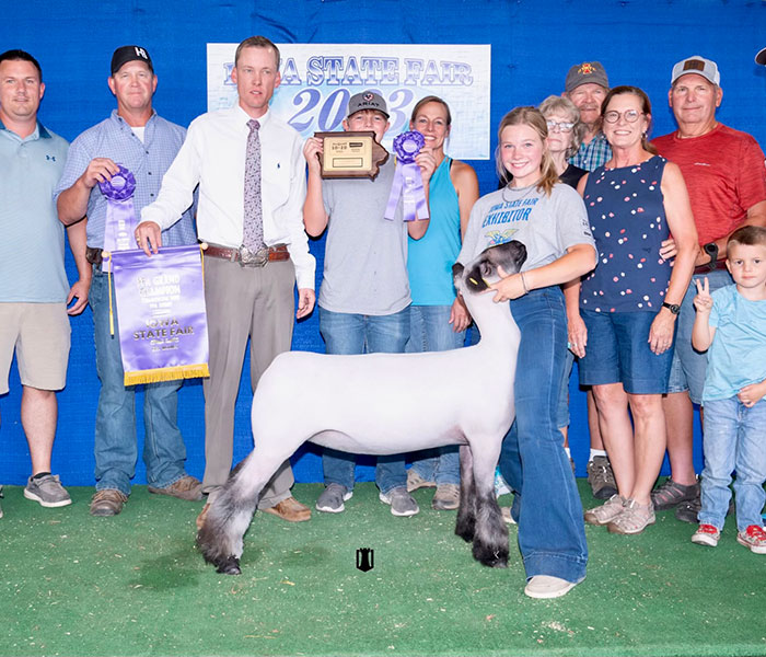 Champion Commercial Ewe Iowa FFA Show