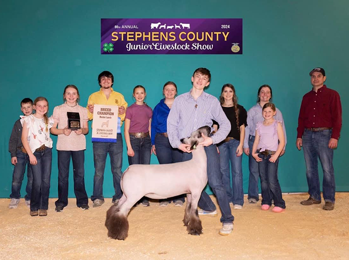 Champion Commercial Ewe 2024 Stephens County (OK)