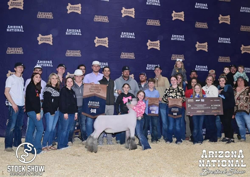 Grand Champion Market Lamb Arizona National Livestock Show (AZ) Grand Champion Market Lamb Arizona National Livestock Show (AZ)