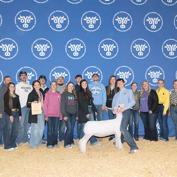 Reserve Dorset Advantage Oklahoma Youth Expo (OK) Reserve Dorset Advantage<br />
Oklahoma Youth Expo (OK)