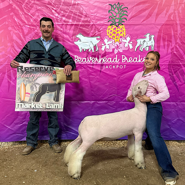 Reserve Champion Market Lamb, Beaverhead Breakout (MT)