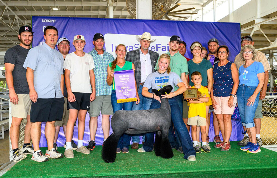 Grand Champion Commercial Ewe Iowa State Fair FFA Show (IA)