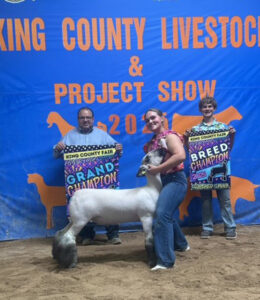 Grand Champion Market Lamb King County Fair Livestock Show (TX)