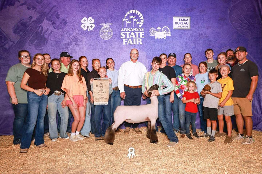 Fourth Overall Market Lamb, Third Overall Cross – Arkansas State Fair (AR)